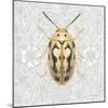 Beetles and Butterflies III-Danhui Nai-Mounted Art Print