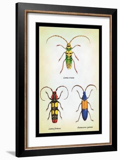 Beetles: Lamia Ornata, L. Formosa and Desmocerus Cyaneus-Sir William Jardine-Framed Art Print