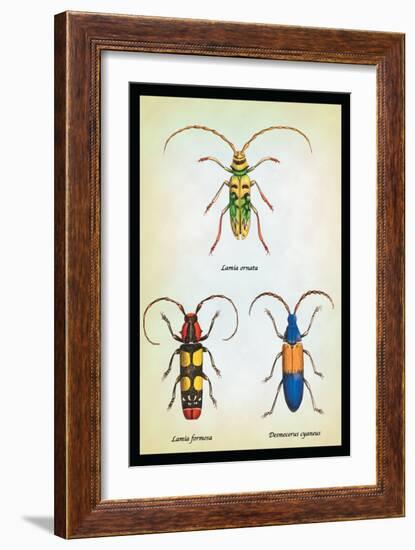 Beetles: Lamia Ornata, L. Formosa and Desmocerus Cyaneus-Sir William Jardine-Framed Art Print