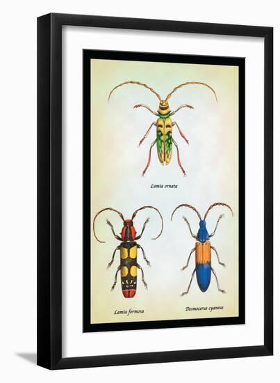 Beetles: Lamia Ornata, L. Formosa and Desmocerus Cyaneus-Sir William Jardine-Framed Art Print