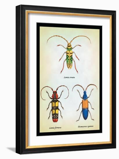 Beetles: Lamia Ornata, L. Formosa and Desmocerus Cyaneus-Sir William Jardine-Framed Art Print