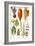 Beetroot and Other Vegetables-Elizabeth Rice-Framed Giclee Print