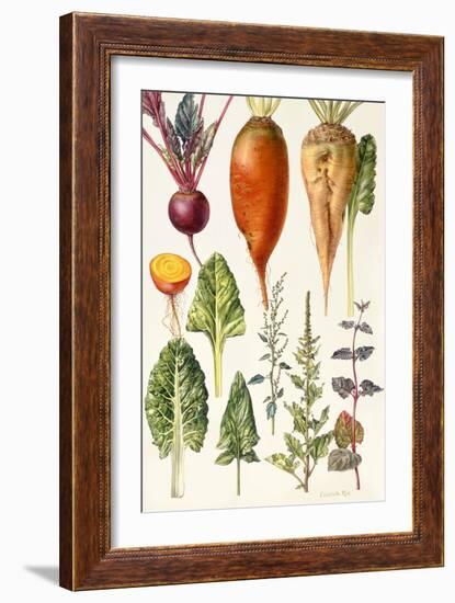 Beetroot and Other Vegetables-Elizabeth Rice-Framed Giclee Print