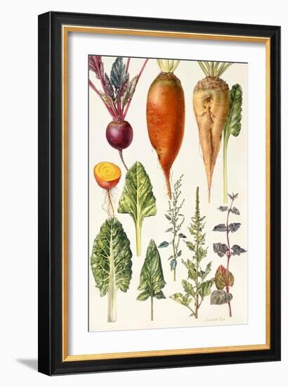Beetroot and Other Vegetables-Elizabeth Rice-Framed Premium Giclee Print