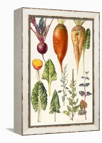 Beetroot and Other Vegetables-Elizabeth Rice-Framed Premier Image Canvas