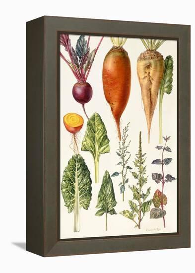 Beetroot and Other Vegetables-Elizabeth Rice-Framed Premier Image Canvas