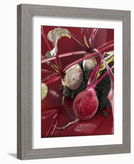 Beetroot with Soil-Karl Newedel-Framed Photographic Print