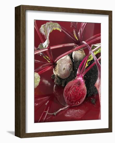 Beetroot with Soil-Karl Newedel-Framed Photographic Print