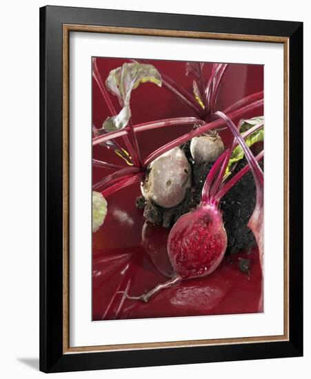 Beetroot with Soil-Karl Newedel-Framed Photographic Print