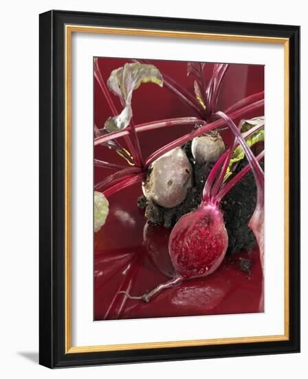 Beetroot with Soil-Karl Newedel-Framed Photographic Print