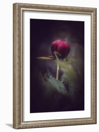 Before it's too Late-Philippe Sainte-Laudy-Framed Photographic Print