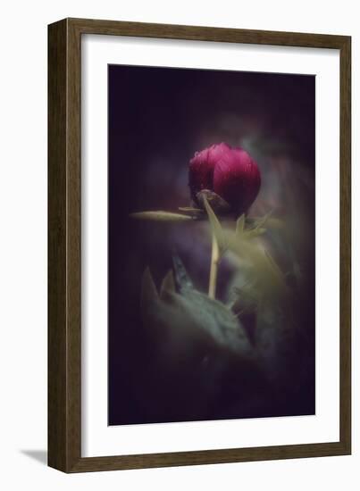 Before it's too Late-Philippe Sainte-Laudy-Framed Photographic Print