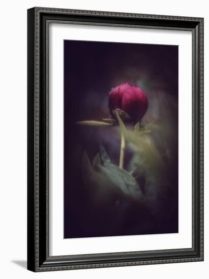 Before it's too Late-Philippe Sainte-Laudy-Framed Photographic Print