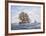 Before Trafalgar - R.N. Frigates Watch Off Cadiz-Roy Cross-Framed Premium Giclee Print