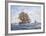 Before Trafalgar - R.N. Frigates Watch Off Cadiz-Roy Cross-Framed Premium Giclee Print