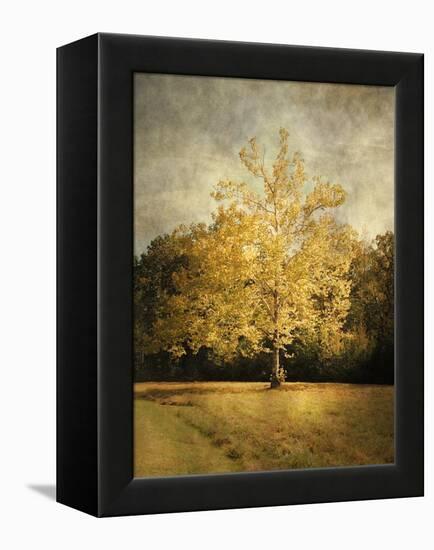 Beginning of Autumn-Jai Johnson-Framed Premier Image Canvas