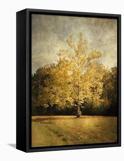 Beginning of Autumn-Jai Johnson-Framed Premier Image Canvas