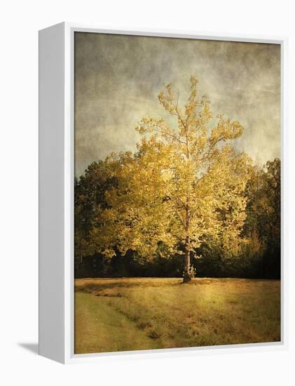 Beginning of Autumn-Jai Johnson-Framed Premier Image Canvas