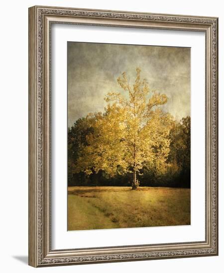 Beginning of Autumn-Jai Johnson-Framed Giclee Print