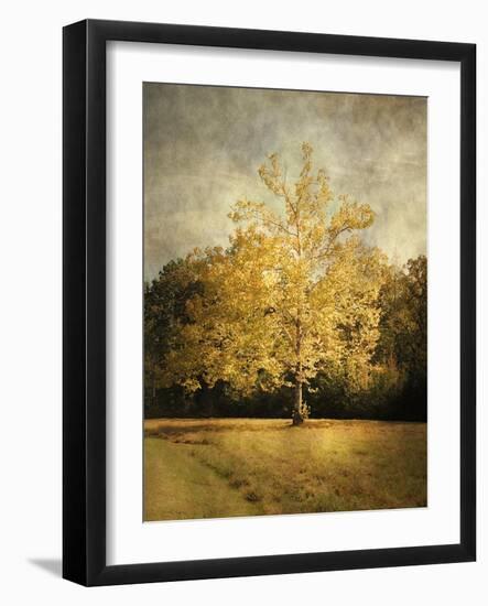 Beginning of Autumn-Jai Johnson-Framed Giclee Print