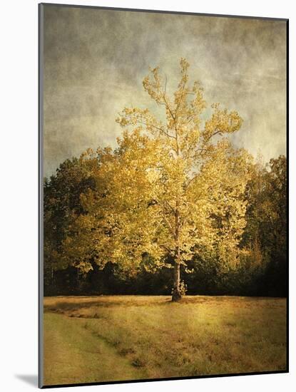 Beginning of Autumn-Jai Johnson-Mounted Giclee Print