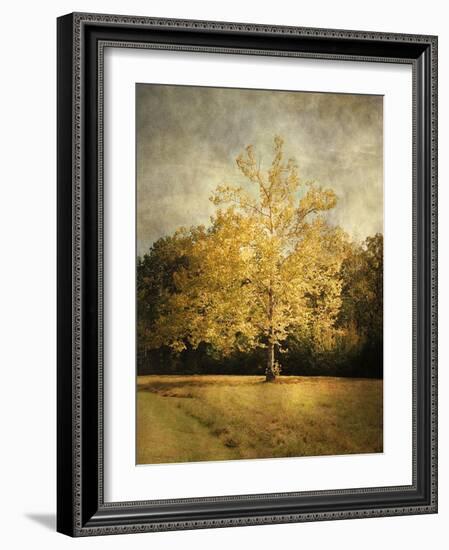 Beginning of Autumn-Jai Johnson-Framed Giclee Print