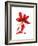 Begonia Array-Julia McLemore-Framed Art Print