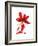 Begonia Array-Julia McLemore-Framed Premium Giclee Print