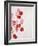 Begonia Semperflorens, Blossoms, Pink, Red, White, Yellow-Axel Killian-Framed Photographic Print