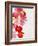 Begonia Semperflorens, Blossoms, Pink, Red, White, Yellow-Axel Killian-Framed Photographic Print