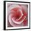 Begonia-Lotte Gronkjaer-Framed Giclee Print