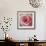 Begonia-Lotte Gronkjaer-Framed Giclee Print displayed on a wall