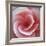 Begonia-Lotte Gronkjaer-Framed Giclee Print