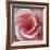 Begonia-Lotte Gronkjaer-Framed Giclee Print