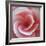 Begonia-Lotte Gronkjaer-Framed Giclee Print