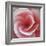 Begonia-Lotte Gronkjaer-Framed Giclee Print