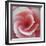 Begonia-Lotte Gronkjaer-Framed Giclee Print