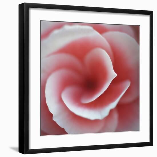 Begonia-Lotte Gronkjaer-Framed Giclee Print