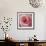 Begonia-Lotte Gronkjaer-Framed Giclee Print displayed on a wall