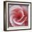 Begonia-Lotte Gronkjaer-Framed Giclee Print