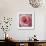 Begonia-Lotte Gronkjaer-Framed Giclee Print displayed on a wall