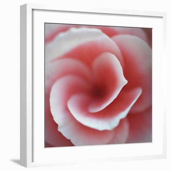 Begonia-Lotte Gronkjaer-Framed Giclee Print