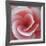 Begonia-Lotte Gronkjaer-Framed Giclee Print