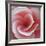 Begonia-Lotte Gronkjaer-Framed Giclee Print