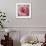 Begonia-Lotte Gronkjaer-Framed Giclee Print displayed on a wall