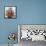 Begonia-Christopher Ryland-Framed Premier Image Canvas displayed on a wall