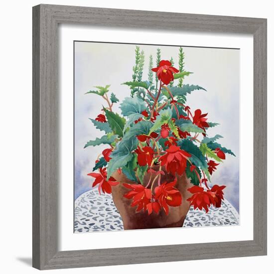 Begonia-Christopher Ryland-Framed Giclee Print