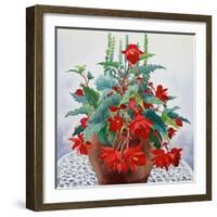 Begonia-Christopher Ryland-Framed Giclee Print
