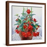 Begonia-Christopher Ryland-Framed Giclee Print
