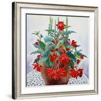 Begonia-Christopher Ryland-Framed Giclee Print